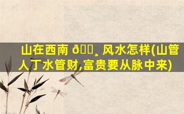 山在西南 🌸 风水怎样(山管人丁水管财,富贵要从脉中来)